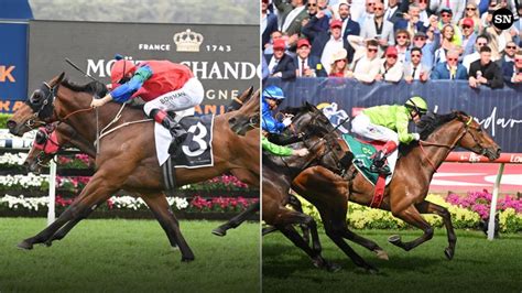 victoria derby betting odds